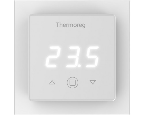Терморегулятор Thermoreg TI-300 купить в Новосибирске